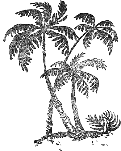 tri_palmi.png tri_palmi.png