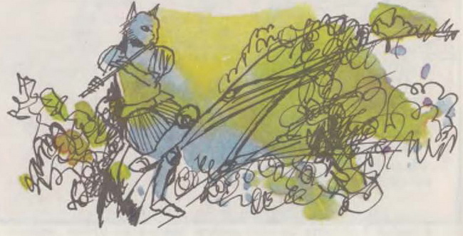 kotarakyt_na_vyrha_na_dyrvoto.jpg kotarakyt_na_vyrha_na_dyrvoto.jpg