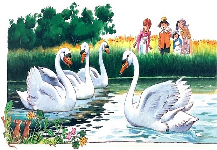 112_krasavez.jpg 112_krasavez.jpg