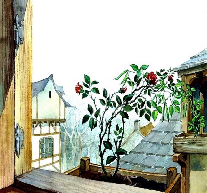 148_filizi.jpg 148_filizi.jpg