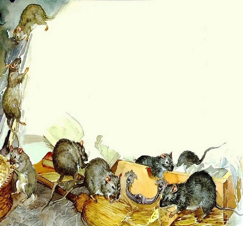 207_opustoshenie.jpg 207_opustoshenie.jpg