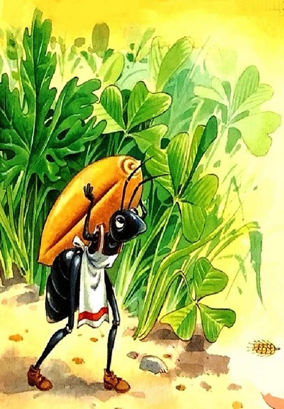 242_mravka.jpg 242_mravka.jpg