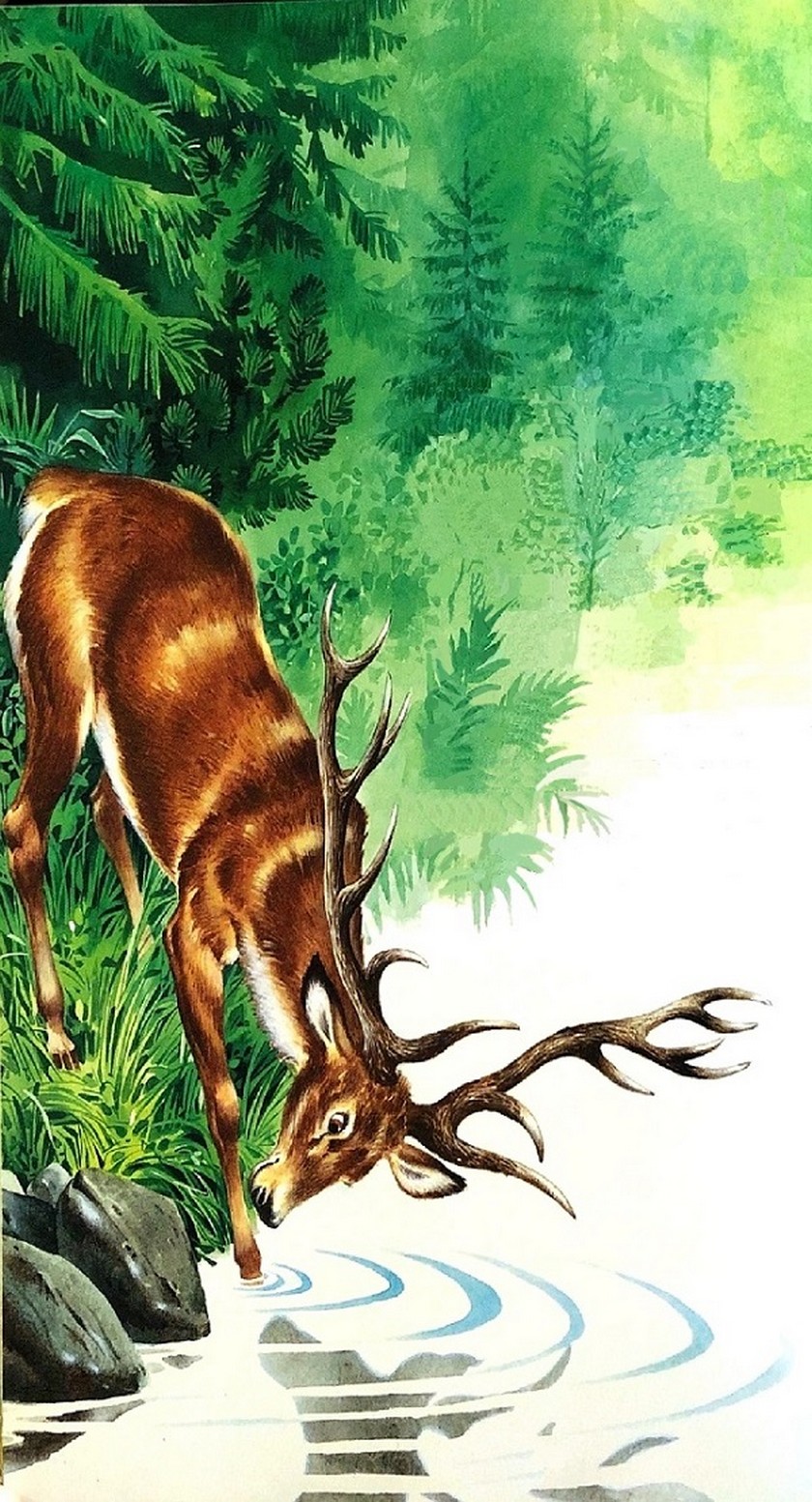 254_elen.jpg 254_elen.jpg