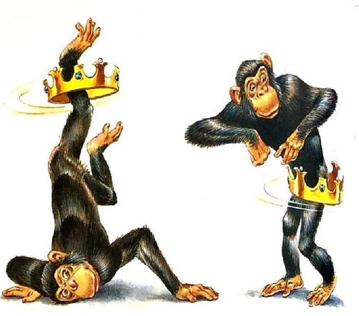 264_maimuna.jpg 264_maimuna.jpg