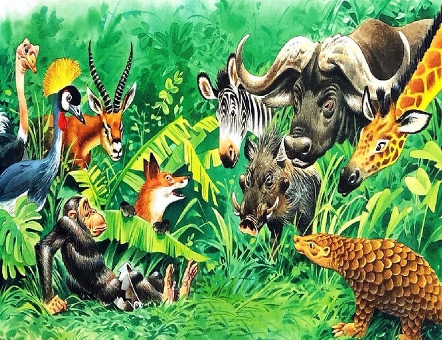 265_kapan.jpg 265_kapan.jpg