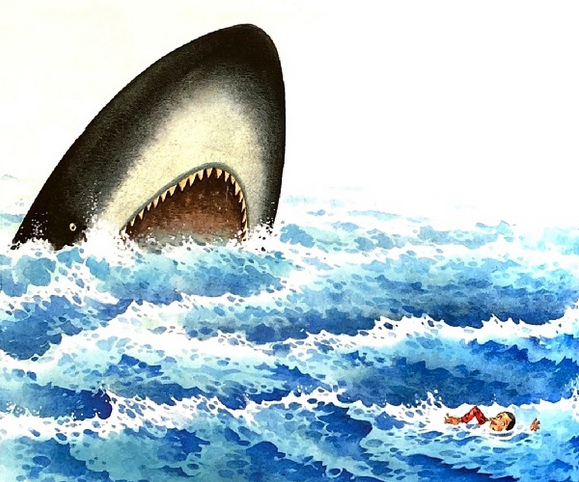 292_akula.jpg 292_akula.jpg