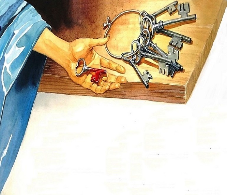 335_petno.jpg 335_petno.jpg