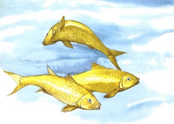 440_zlatni_bleztjasti.jpg 440_zlatni_bleztjasti.jpg