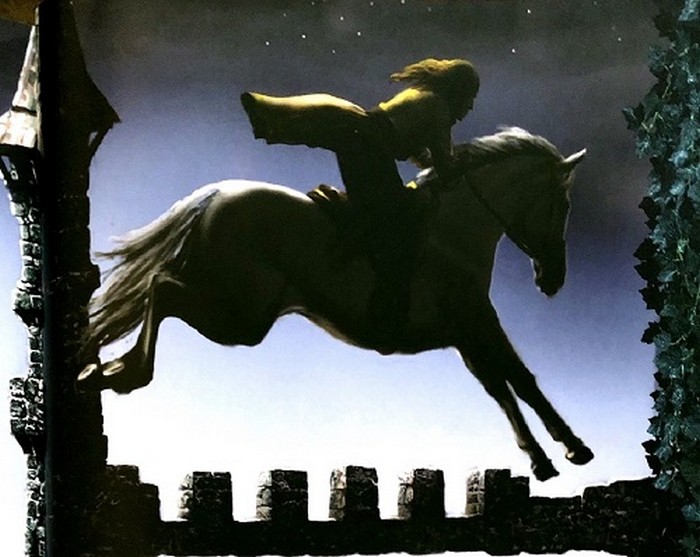 454_sedlo.jpg 454_sedlo.jpg