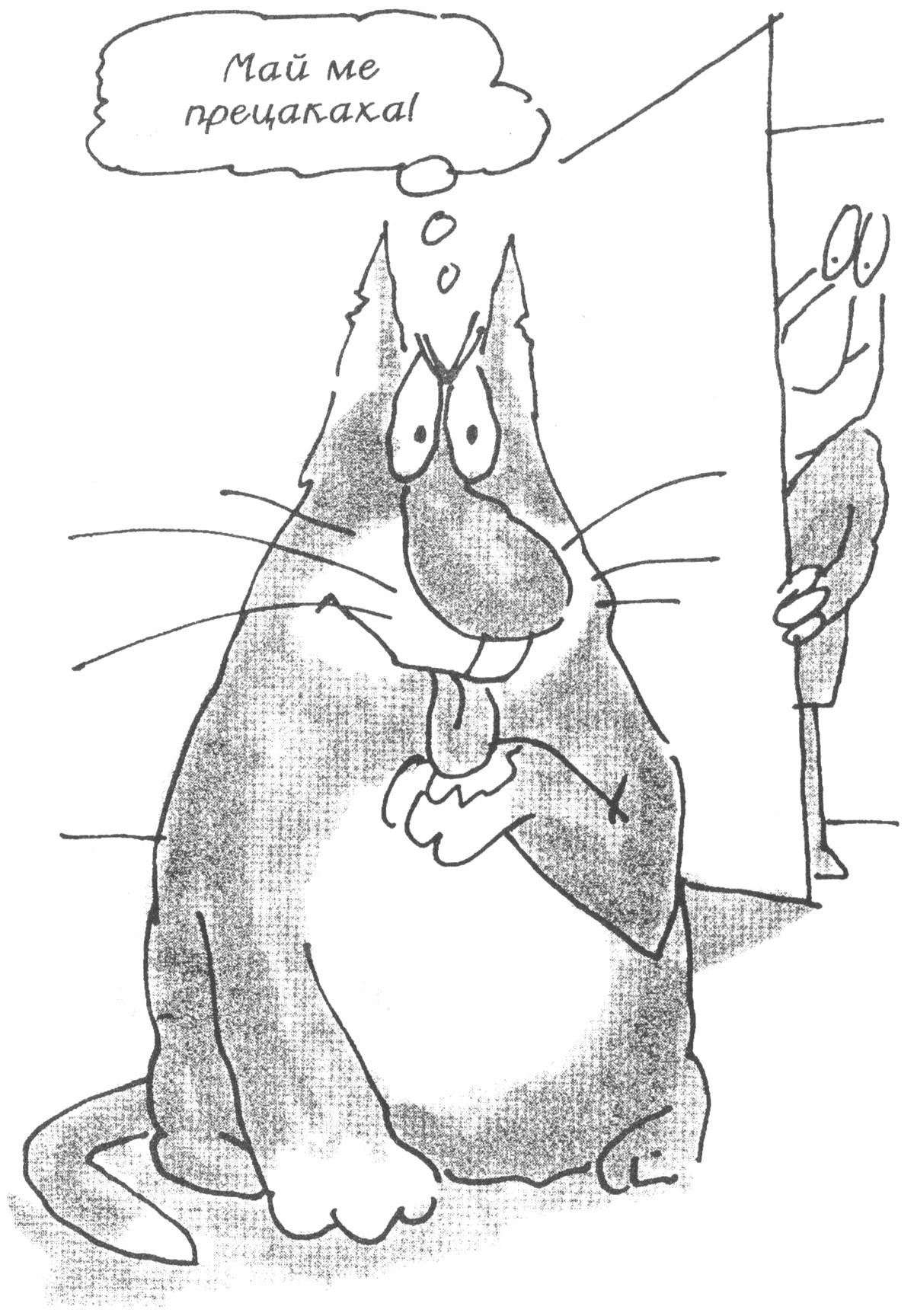 precakaha.jpg precakaha.jpg