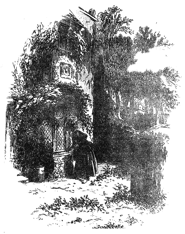 Гарвановото свърталище dejvid_kopyrfijld_garvanovoto_svartaliste.png