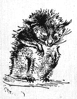 zoologicheska_gradina_3.png zoologicheska_gradina_3.png