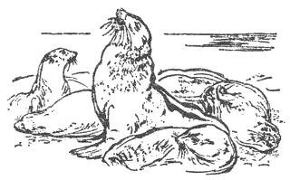 shepneshtata_zemja_5.png shepneshtata_zemja_5.png