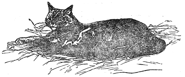 razkazi_i_prikazki_ot_ruski_pisateli_klasitsi_pic17.png razkazi_i_prikazki_ot_ruski_pisateli_klasitsi_pic17.png