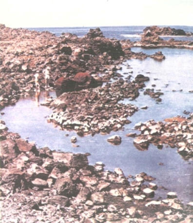 Изоставени „пукао“ — възли за главите на статуите tajnata_na_velikdenskija_ostrov_izostaveni_pukao.jpg