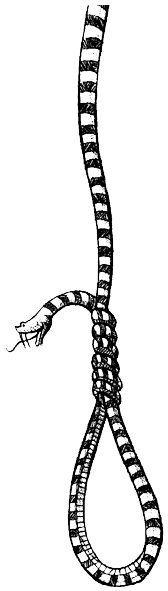 vivariumyt_s_vlechugite_vyje.png vivariumyt_s_vlechugite_vyje.png