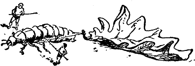 karik_i_valja_konche.png karik_i_valja_konche.png