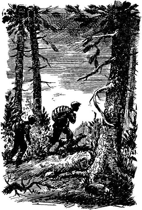 nosht_v_gorata.png nosht_v_gorata.png