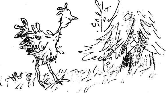 kokoshka.png kokoshka.png