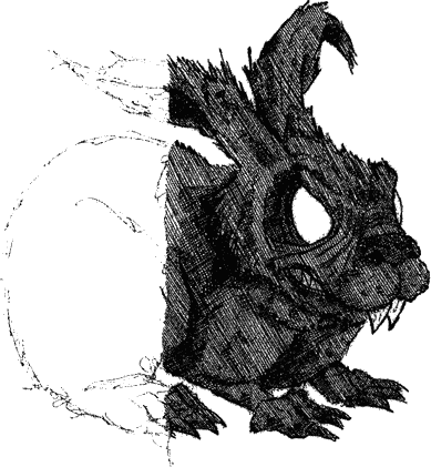 morelsi_7.png morelsi_7.png