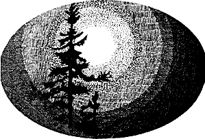 vulchi_brat-018.png vulchi_brat-018.png