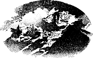 vulchi_brat-031.png vulchi_brat-031.png