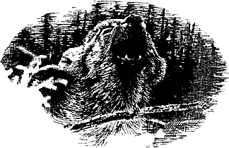 vulchi_brat-032.png vulchi_brat-032.png