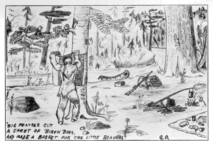 Голямото перо обели голямо парче брезова кора и направи кошница за бобърчетата sajo05.png