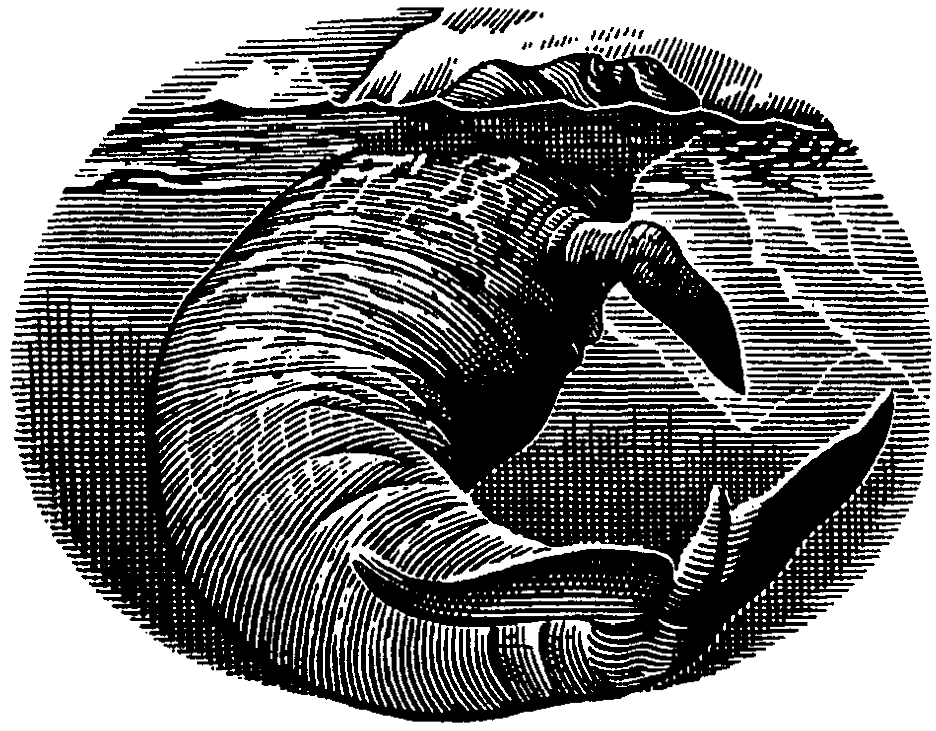 glava32.png glava32.png