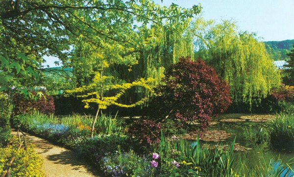 Грижливо поддържаната градина на Моне в Живерни е отразена в изкуството му. 140_zhiverni.jpg