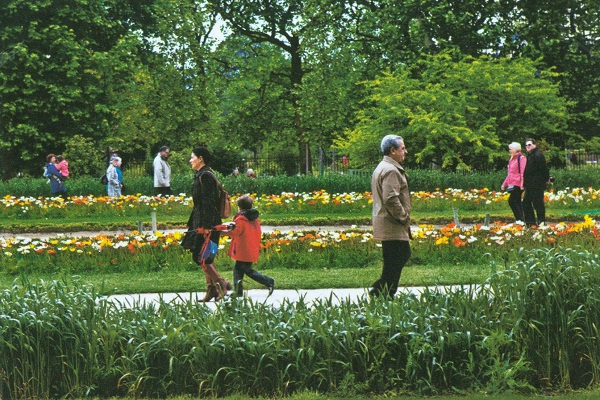 Някога кралска градина с билки, сега Ботаническата градина е отворена за всички. 35_botanicheska_gradina.jpg