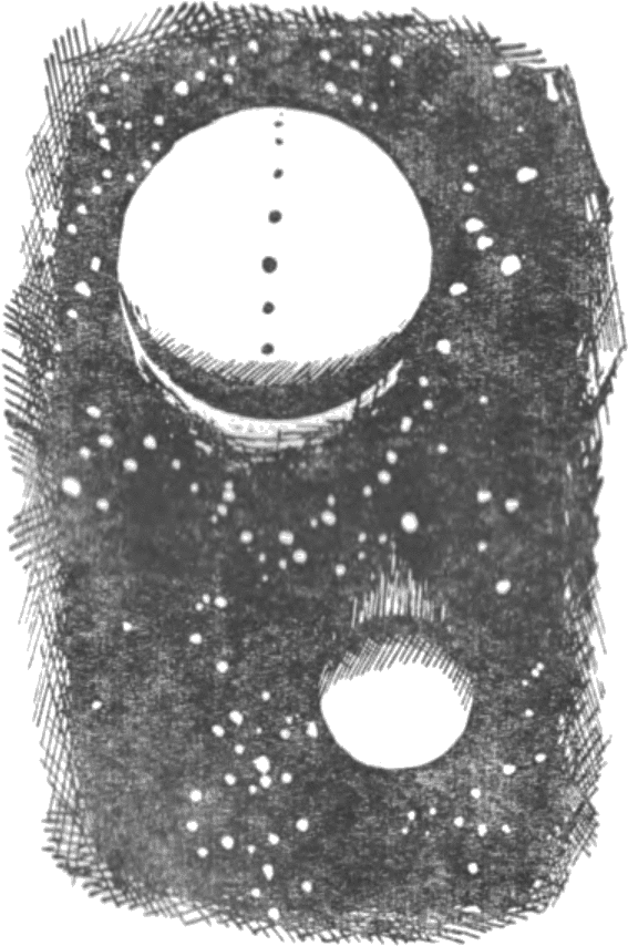 kalisto_kalistiani.png kalisto_kalistiani.png