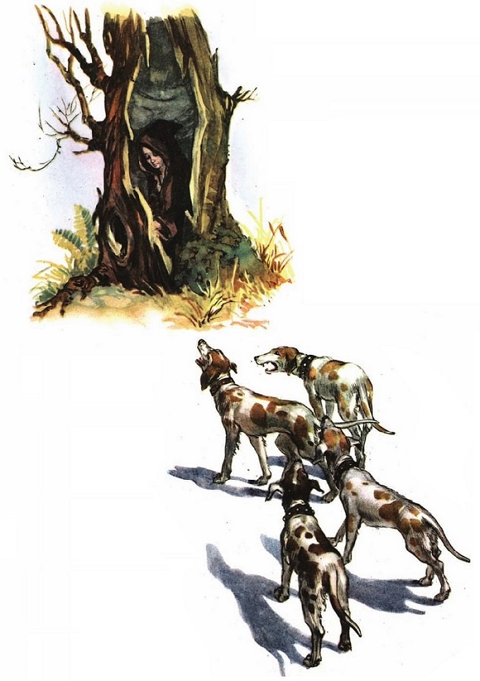 41_kucheta.jpg 41_kucheta.jpg