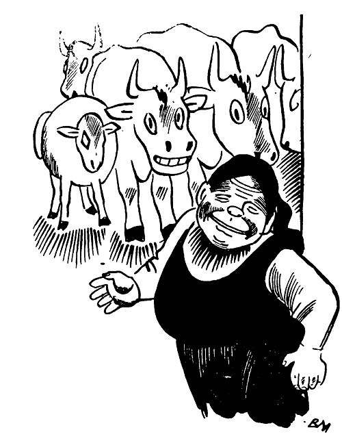 33_dobicheta.jpg 33_dobicheta.jpg