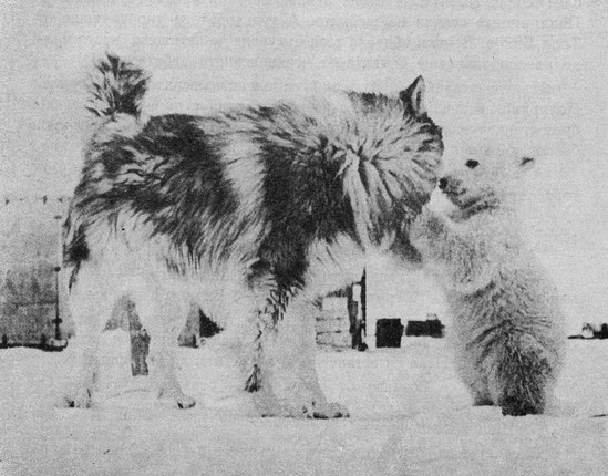 Вася и Филимон. karaslavov_11.jpg