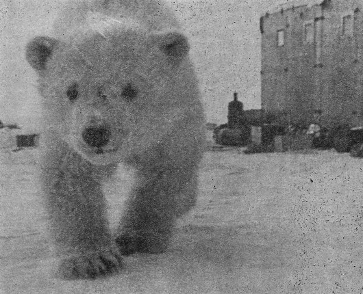 Пакостникът Филимон. karaslavov_12.jpg