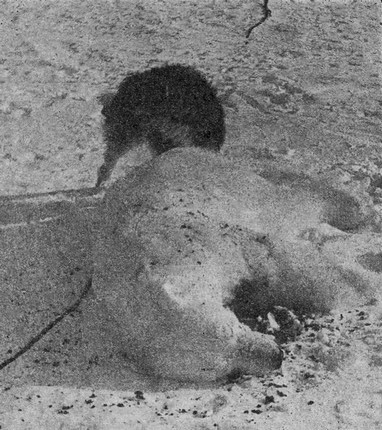 Варнак, след боя с бялата мечка. karaslavov_14.jpg