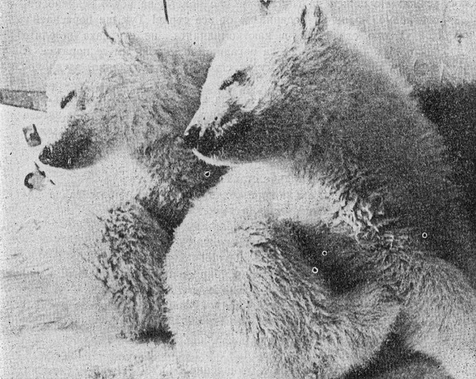 Маша и Филимон се готвят за сън. karaslavov_3.jpg