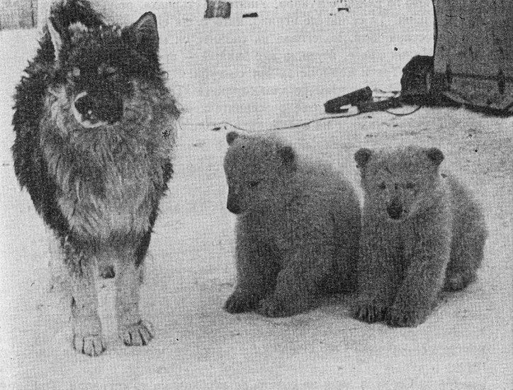 Вася, Филимон и Маша. Време за обяд. karaslavov_7.jpg