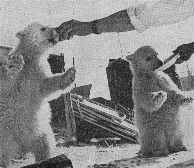 Тоя Валя! Пак е приготвил нещо сладко! karaslavov_8.jpg