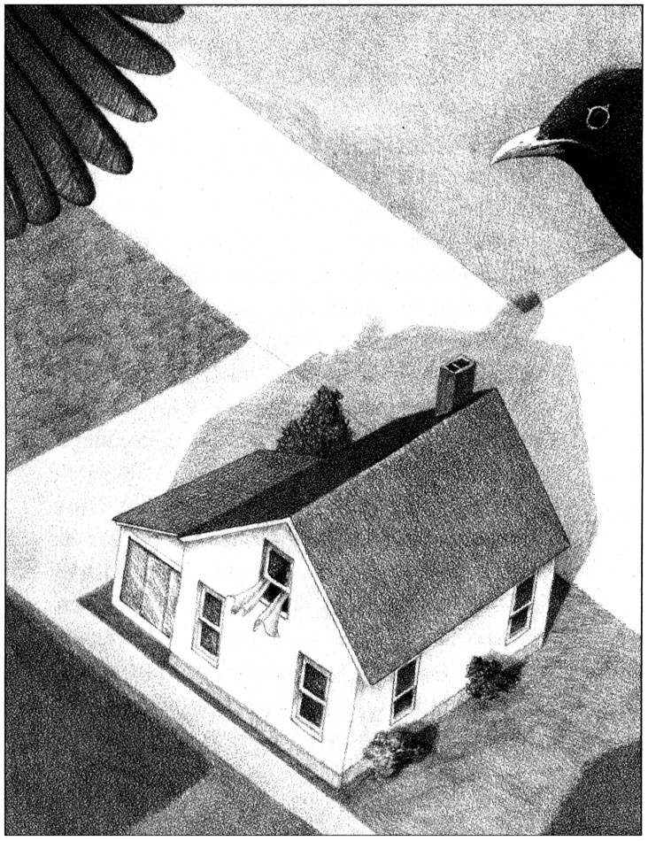 kutijata_na_guendi_13.jpg kutijata_na_guendi_13.jpg